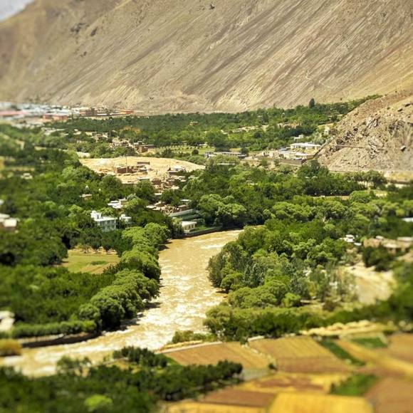 Meet your Posher, Arzo - Picture 1 of 1